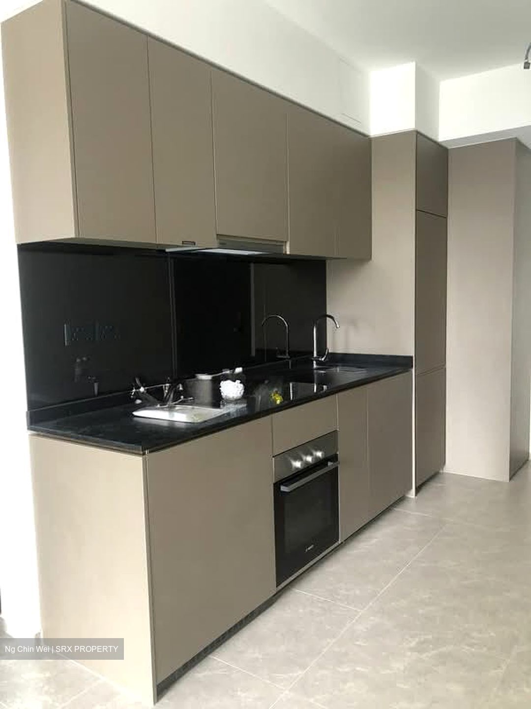 Park Colonial (D13), Condominium #593587361
